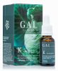 GAL K-Komplex vitamin cseppek 500 mcg 20 ml