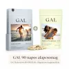 GAL 90 napos alapcsomag (Multivitamin+Magnézium-biszglicinát)