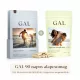 GAL 90 napos alapcsomag (Multivitamin+Magnézium-biszglicinát)