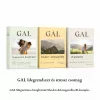 GAL Idegrendszer és stressz csomag (Magnézium-biszglicinát+B-komplex+SHoden Ashwaghanda)