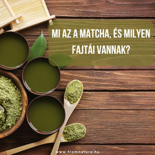 Mi az a matcha, és milyen fajtái vannak? – Útmutató a zöld aranyhoz